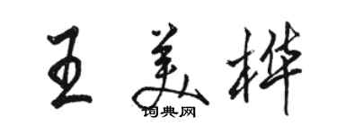 骆恒光王美桦行书个性签名怎么写