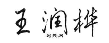 骆恒光王润桦行书个性签名怎么写