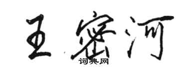 骆恒光王密河行书个性签名怎么写