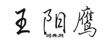 骆恒光王阳鹰行书个性签名怎么写