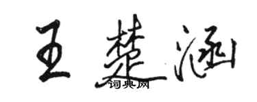 骆恒光王楚涵行书个性签名怎么写