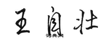 骆恒光王自壮行书个性签名怎么写