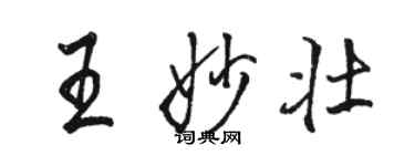 骆恒光王妙壮行书个性签名怎么写