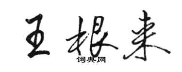 骆恒光王根来行书个性签名怎么写