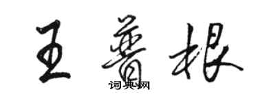 骆恒光王普根行书个性签名怎么写