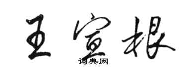骆恒光王宣根行书个性签名怎么写