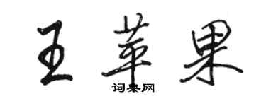 骆恒光王苹果行书个性签名怎么写