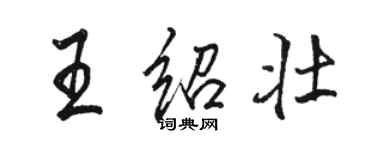 骆恒光王绍壮行书个性签名怎么写