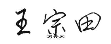 骆恒光王宗田行书个性签名怎么写