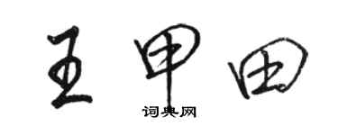 骆恒光王甲田行书个性签名怎么写