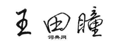 骆恒光王田瞳行书个性签名怎么写