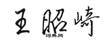 骆恒光王昭崎行书个性签名怎么写