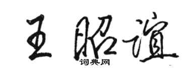 骆恒光王昭谊行书个性签名怎么写