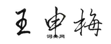 骆恒光王申梅行书个性签名怎么写