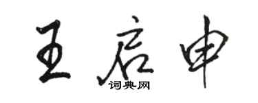骆恒光王启申行书个性签名怎么写