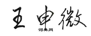 骆恒光王申微行书个性签名怎么写
