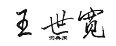 骆恒光王世宽行书个性签名怎么写