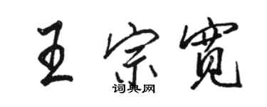 骆恒光王宗宽行书个性签名怎么写