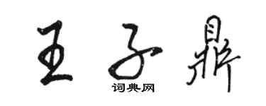 骆恒光王子鼎行书个性签名怎么写