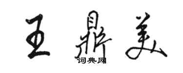 骆恒光王鼎美行书个性签名怎么写