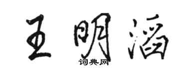 骆恒光王明滔行书个性签名怎么写