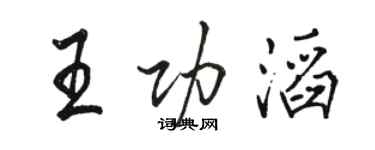 骆恒光王功滔行书个性签名怎么写
