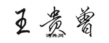 骆恒光王贵曾行书个性签名怎么写