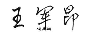 骆恒光王军昂行书个性签名怎么写