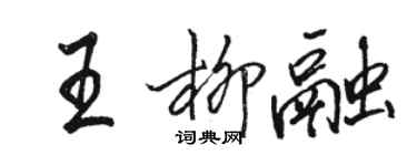 骆恒光王柳融行书个性签名怎么写