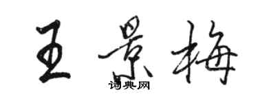 骆恒光王景梅行书个性签名怎么写