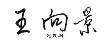 骆恒光王向景行书个性签名怎么写
