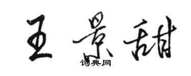 骆恒光王景甜行书个性签名怎么写