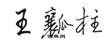 骆恒光王瓤柱行书个性签名怎么写