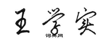 骆恒光王学实行书个性签名怎么写