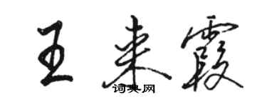 骆恒光王来霞行书个性签名怎么写