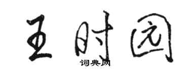 骆恒光王时园行书个性签名怎么写