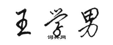 骆恒光王学男行书个性签名怎么写