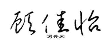 梁锦英顾佳怡草书个性签名怎么写