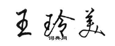 骆恒光王玲美行书个性签名怎么写