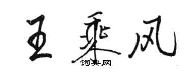 骆恒光王乘风行书个性签名怎么写