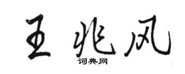 骆恒光王兆风行书个性签名怎么写