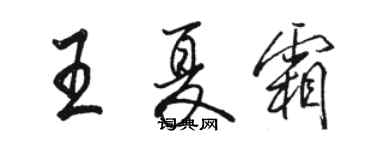 骆恒光王夏霜行书个性签名怎么写