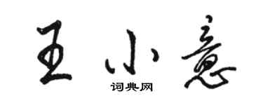 骆恒光王小意行书个性签名怎么写