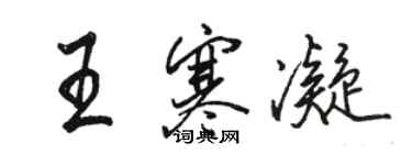 骆恒光王寒凝行书个性签名怎么写