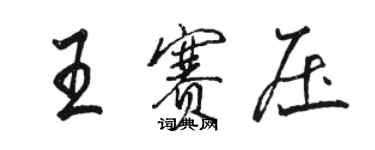 骆恒光王赛压行书个性签名怎么写