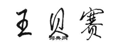 骆恒光王贝赛行书个性签名怎么写