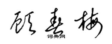 梁锦英顾春梅草书个性签名怎么写