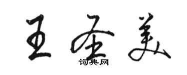 骆恒光王圣美行书个性签名怎么写