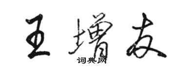 骆恒光王增友行书个性签名怎么写