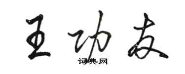 骆恒光王功友行书个性签名怎么写